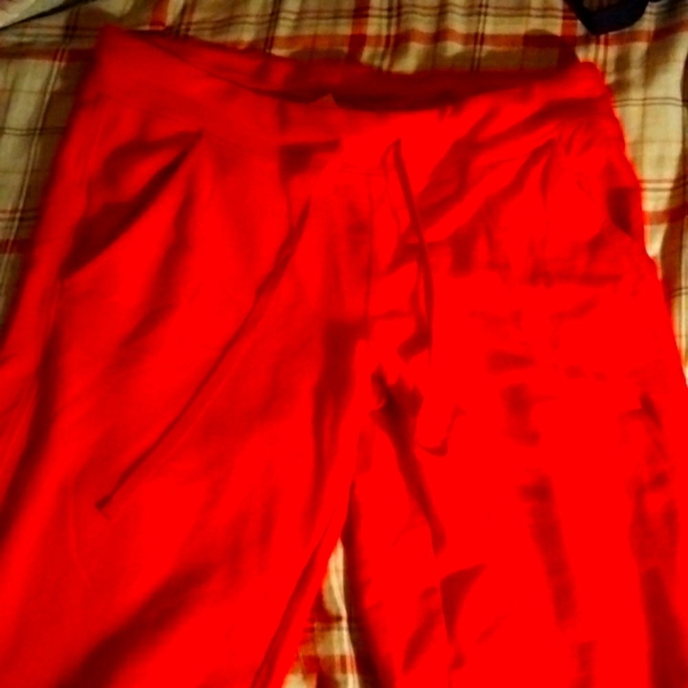 Sweatpants from Lolo lime is the brand the size is a large the color is a hot pi